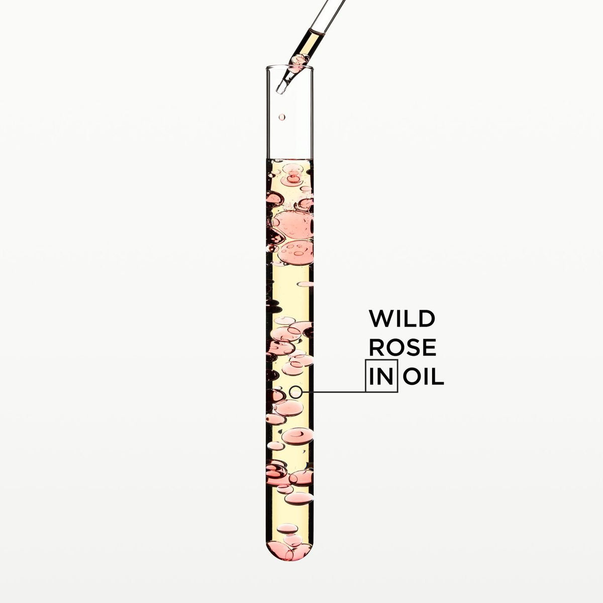 Gloss Absolu Glaze Drop Oil