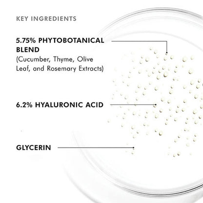 SkinCeuticals Phyto Corrective Mist